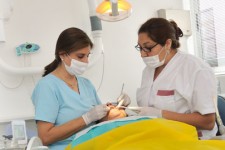 Endodoncia
