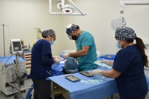 Sedación Endovenosa por Médico Anestesista